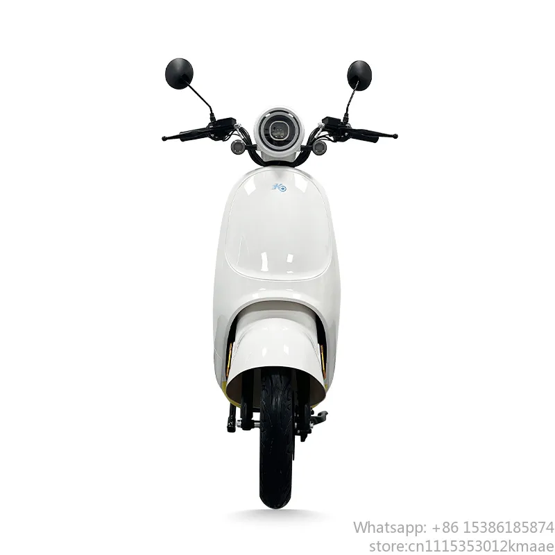 Motocicleta eléctrica de 1200  - Electric Scooter Adults reseña y precio