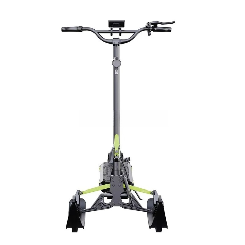 Nueva llegada Moto de nieve el - Electric Scooter reseña y precio