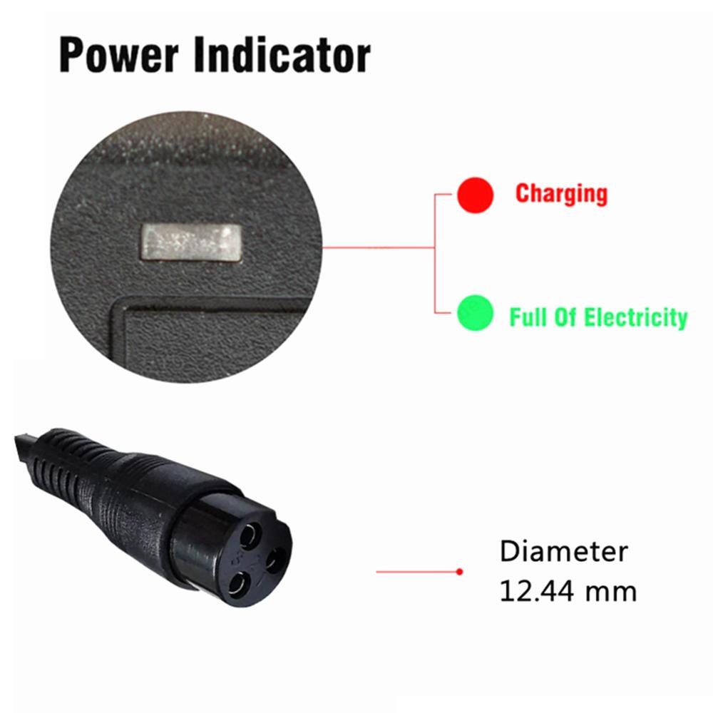 Cargador de batería de plomo-á - Electric Scooter Charger reseña y precio